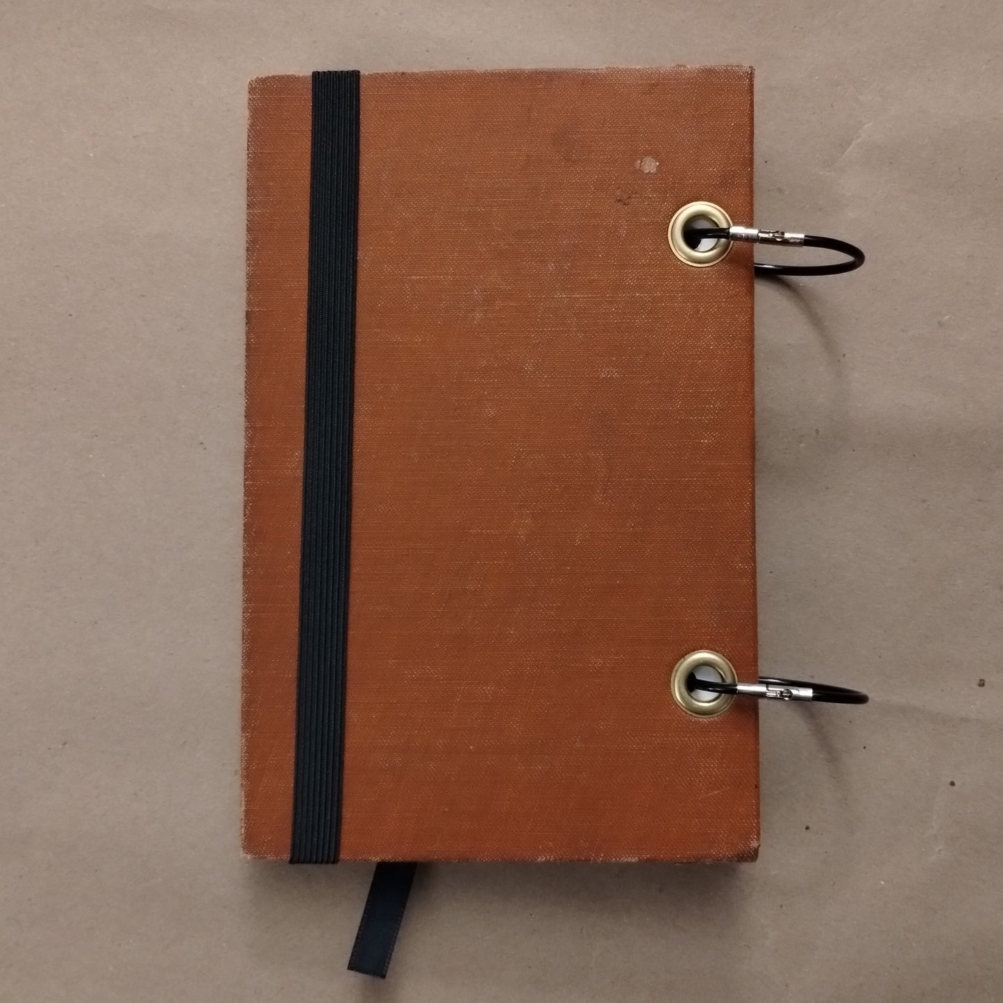 The Prisoner Who Sang Journal