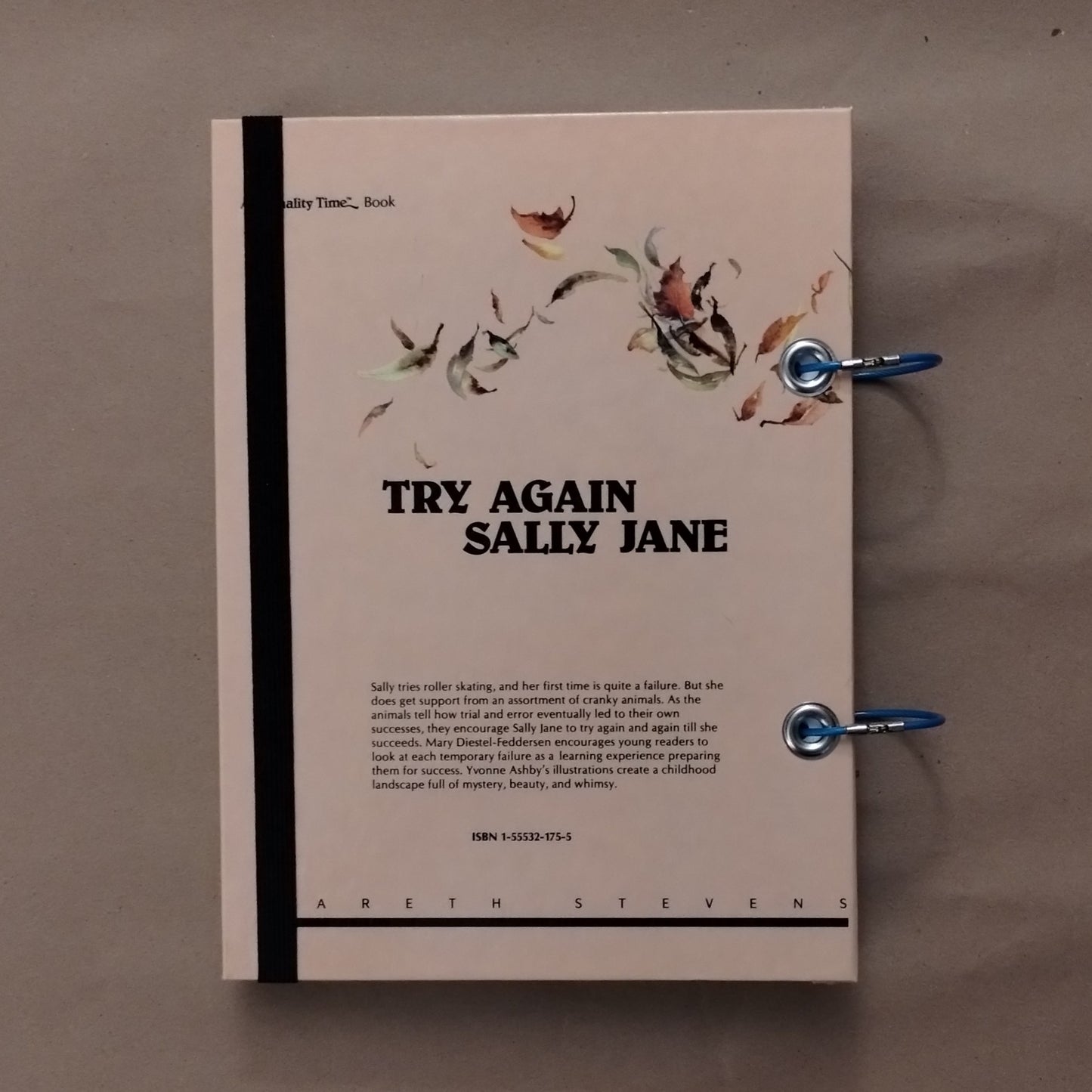 Try Again Sally Jane Sketchbook
