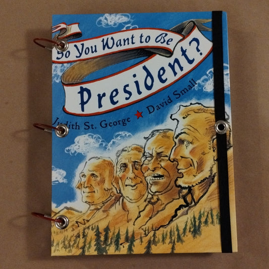 So You Want to be President Sketchbook