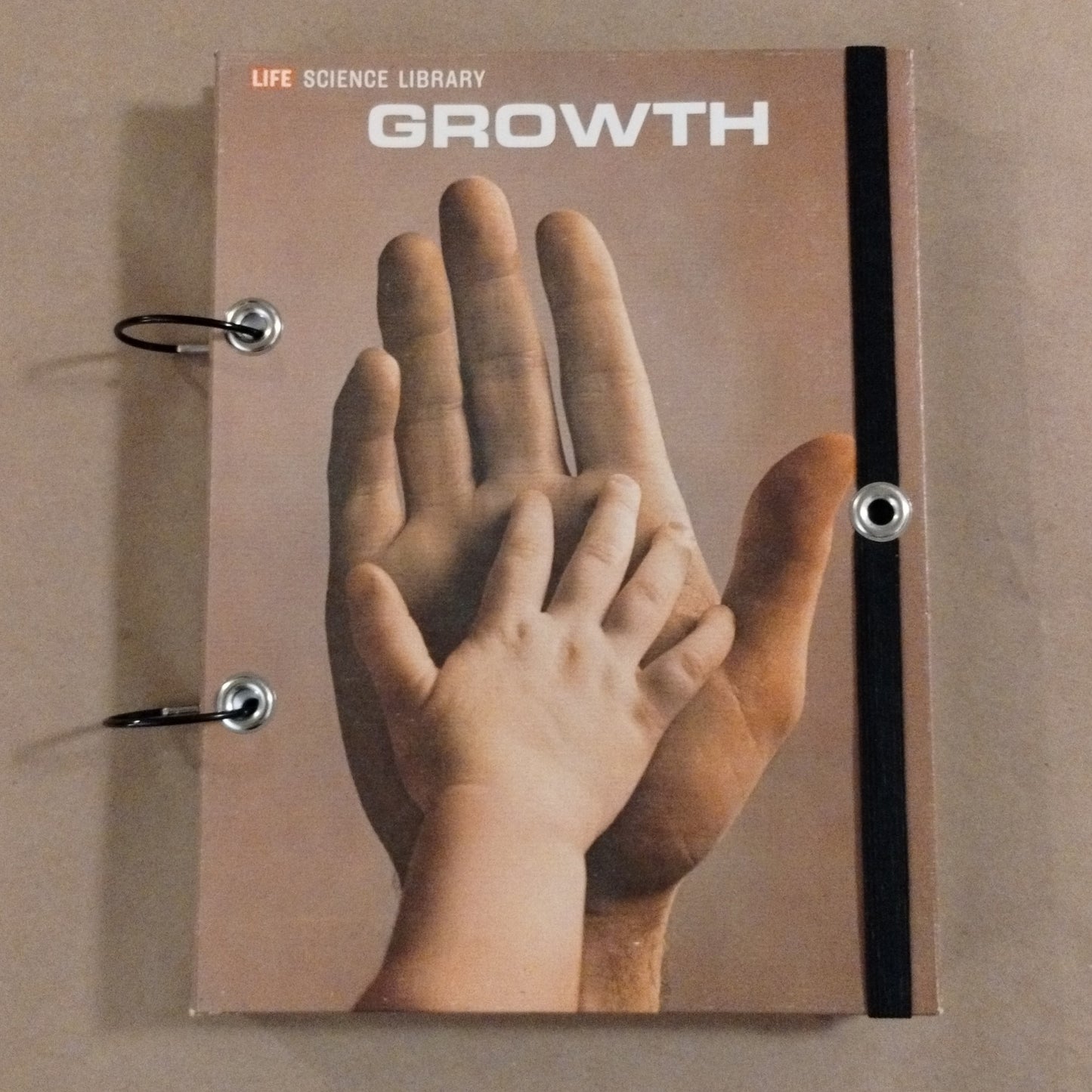 Growth Sketchbook