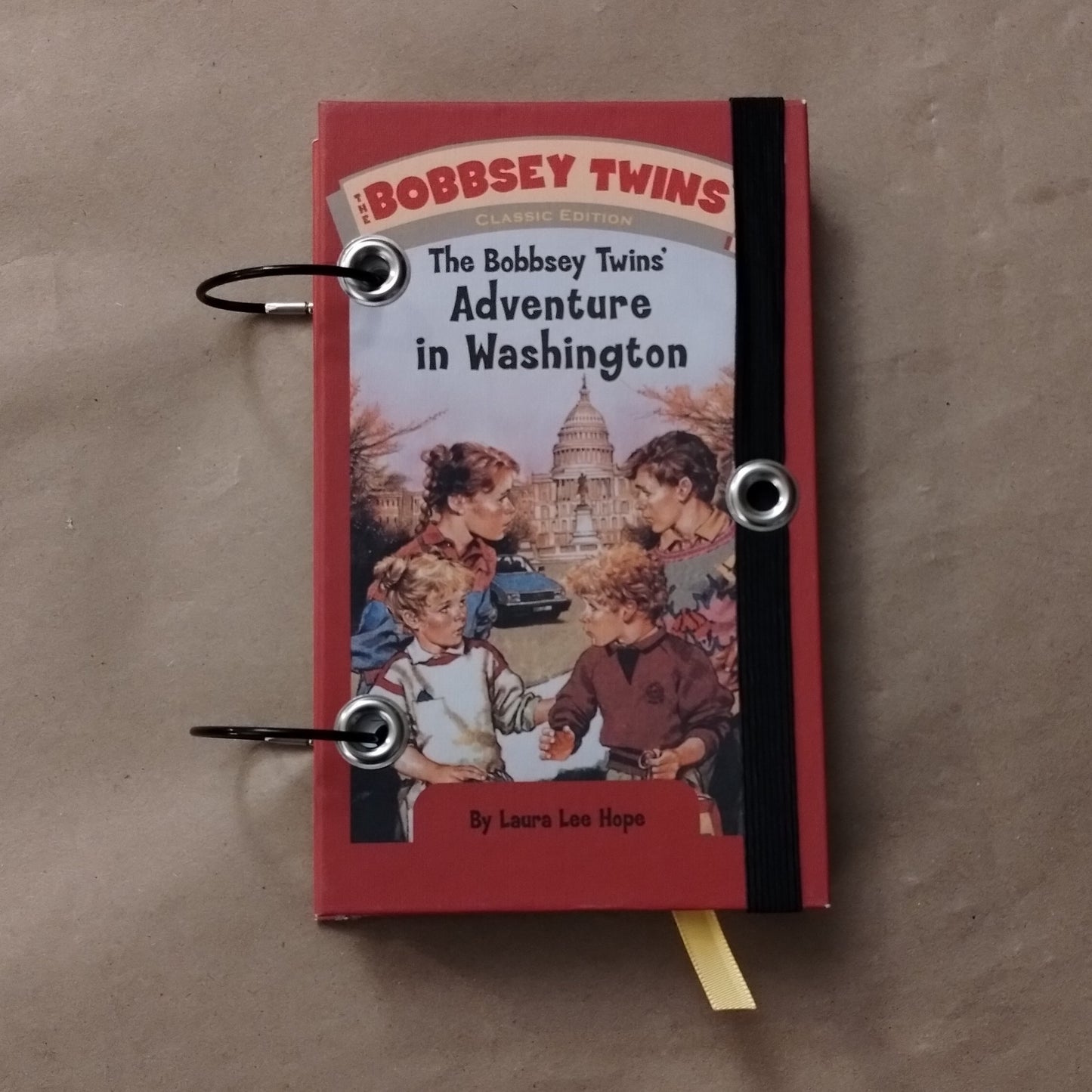 Bobbsey Twins Adventure in Washington Journal