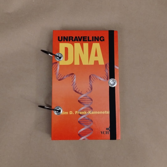 Unraveling DNA Sketchbook