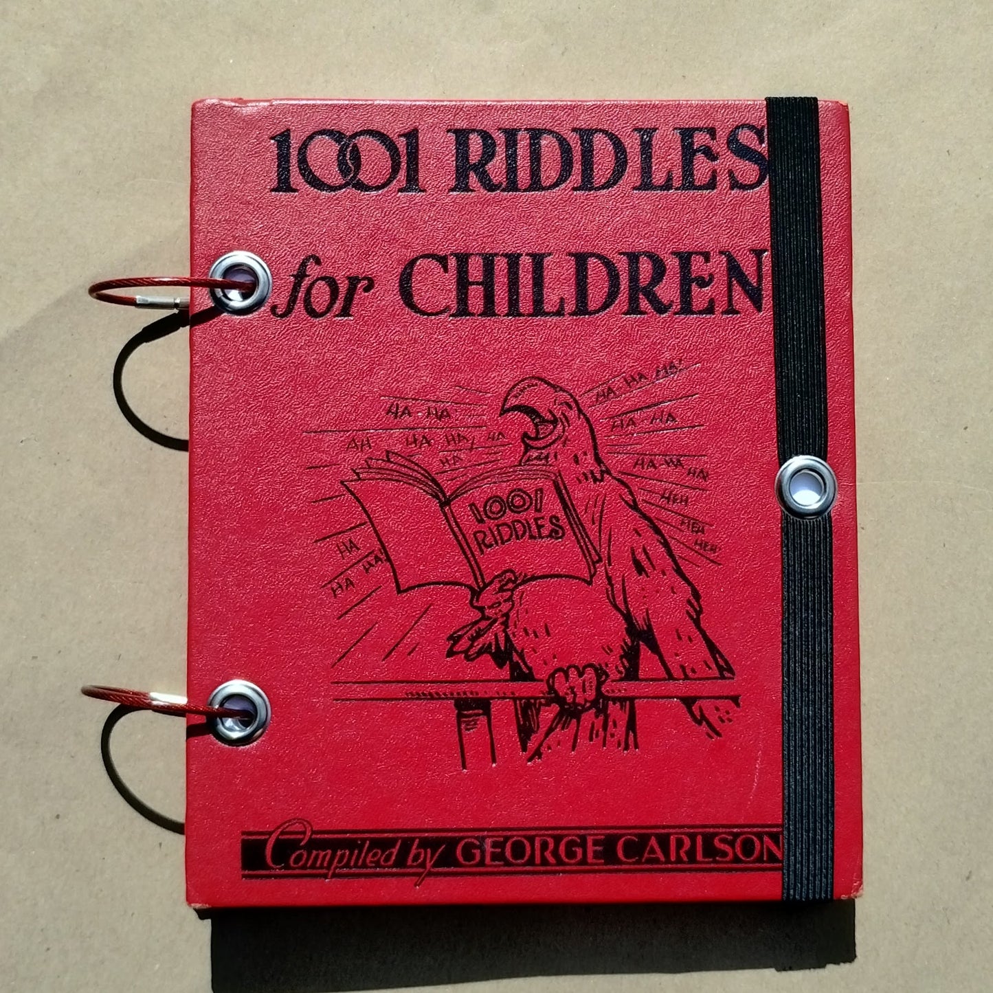 1001 Riddles for Children Sketchbook